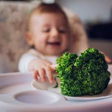 Plant-Based diet for Kids