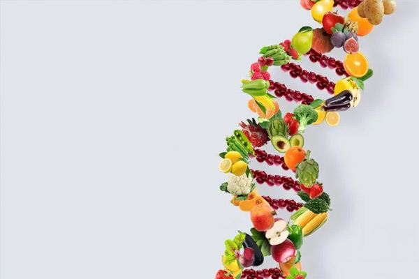 DNA Genetic Testing – Diet & Fitness