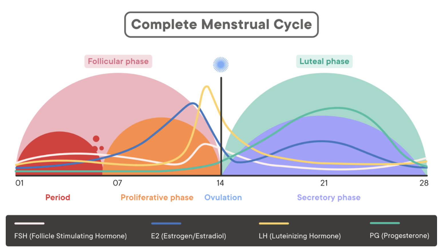 Hormones across the menstrual cycle